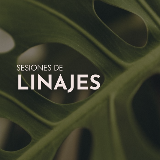 Sesión de Linajes Familiares